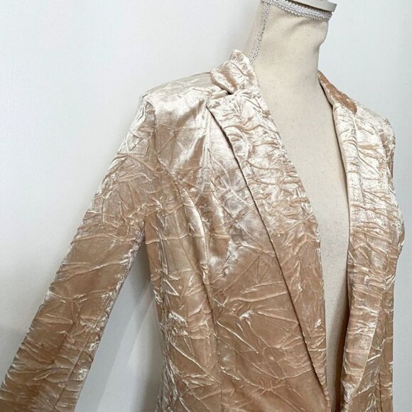 NWT 525 AMERICA CREAM CHAMPAGNE CRUSHED VELVET BLAZER - XS - Picture 5 of 11